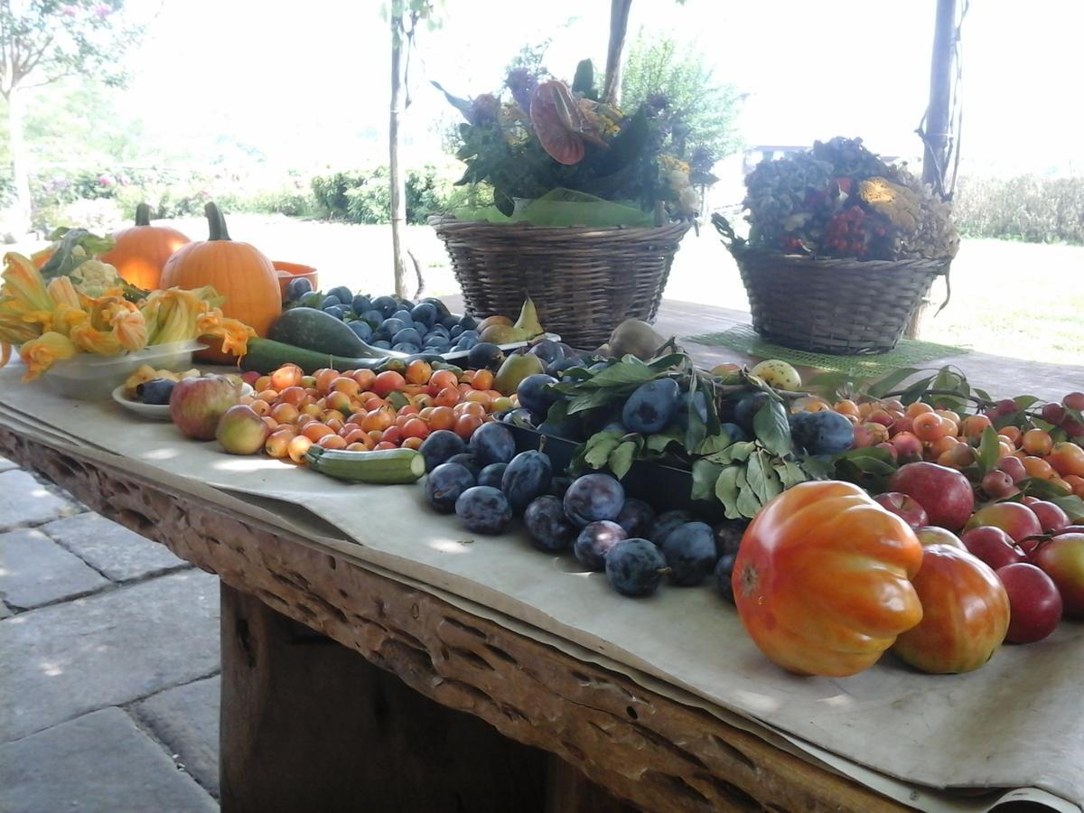 Bio&B Cascina Montebello Palazzago Екстер'єр фото