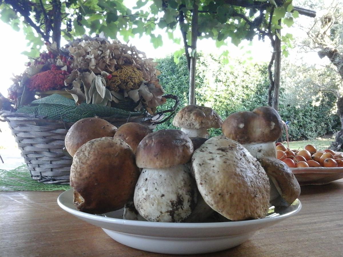 Bio&B Cascina Montebello Palazzago Екстер'єр фото